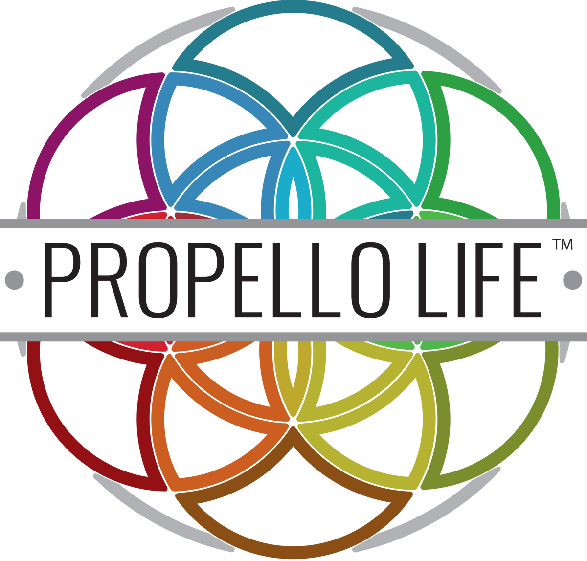 Propello Life Shaker Cup, 20 oz  Mix All Your Natural Supplements